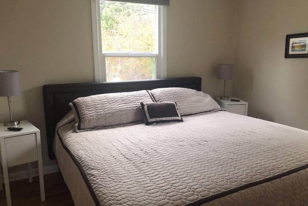 Cozy Crown Hill Carkeek Cottage W/3 Beds, Full Kitchen & Backyard In North シアトル エクステリア 写真
